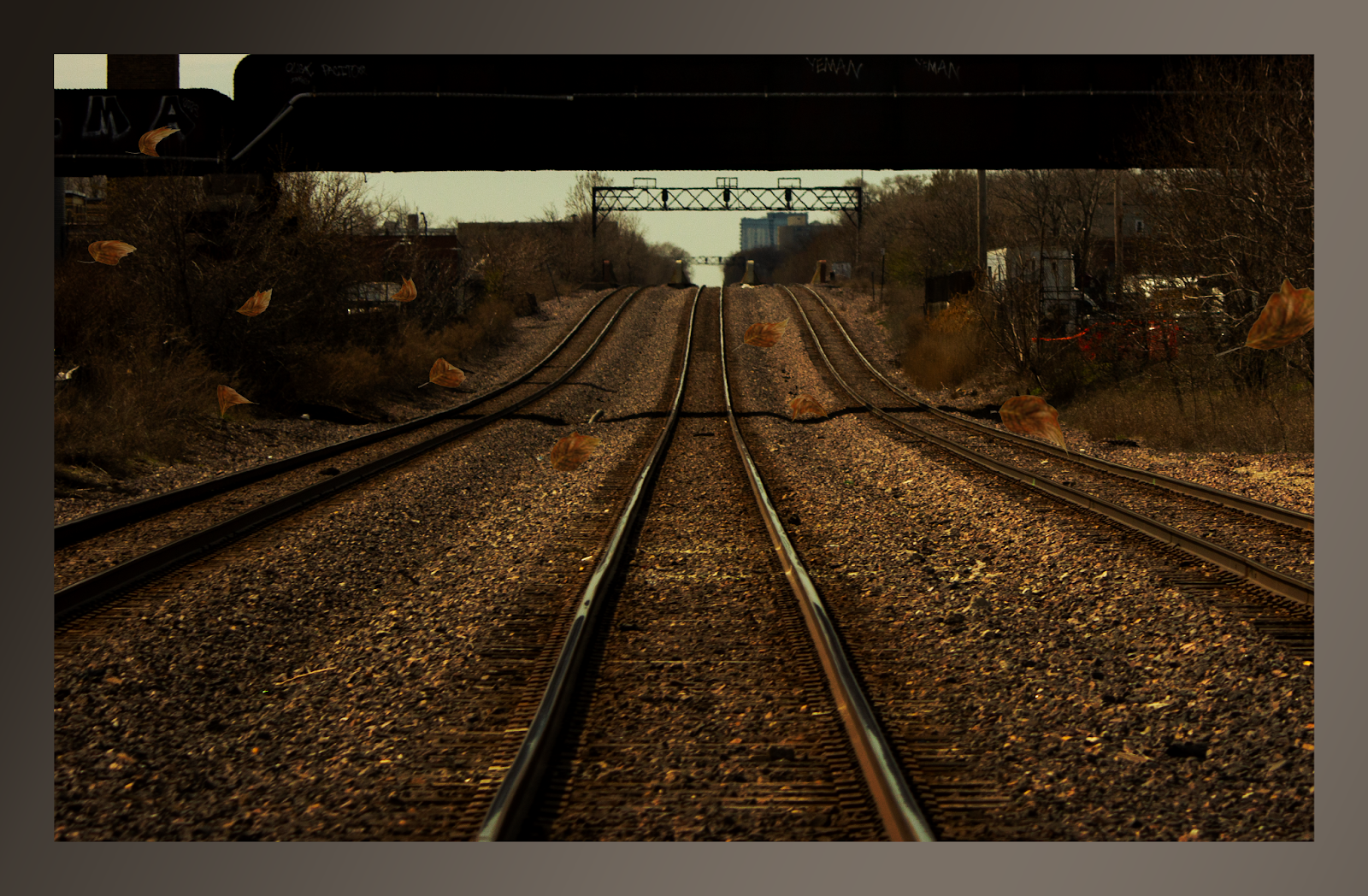 Train and Leaves